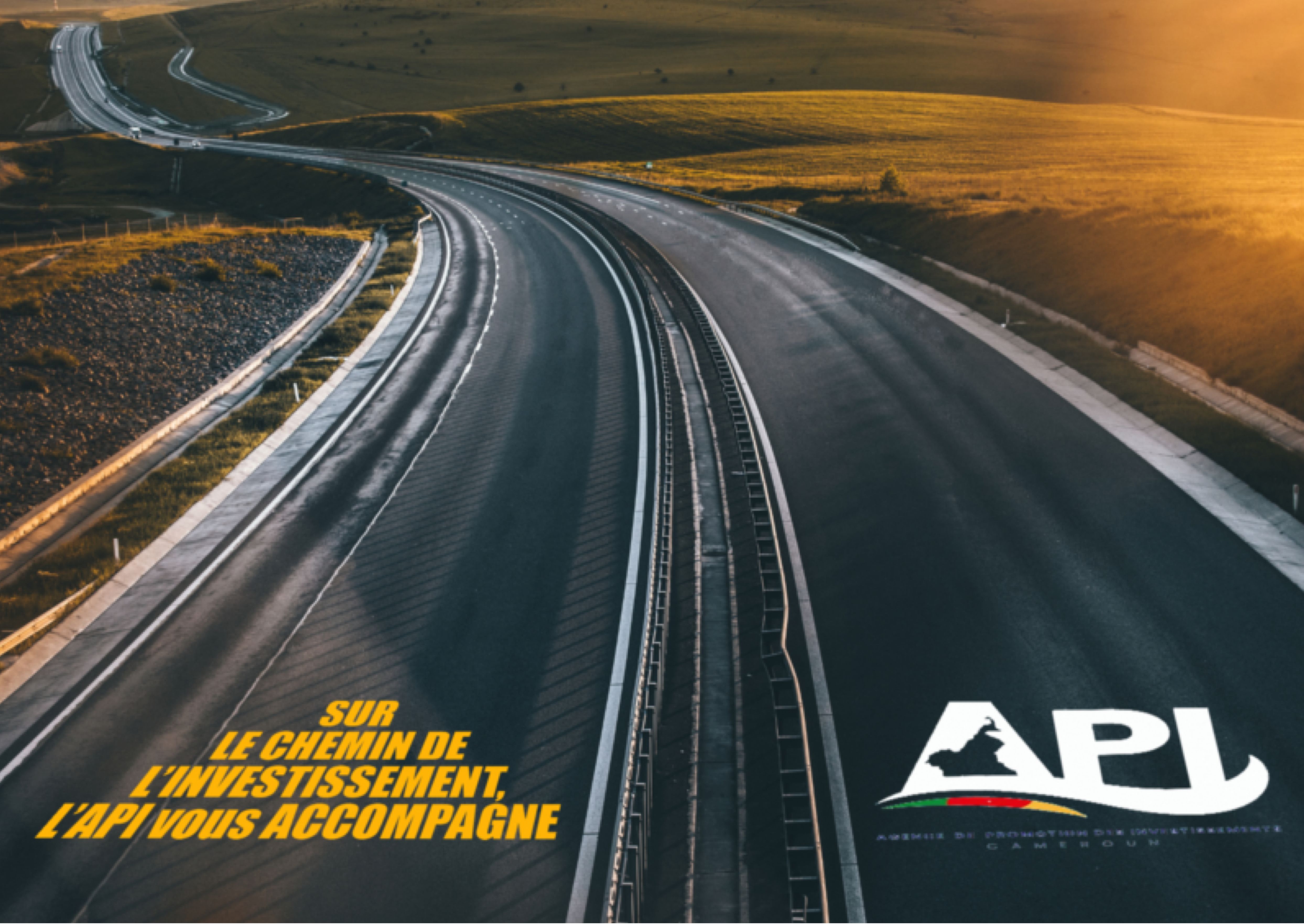 Accompagnement investisseur API Cameroun